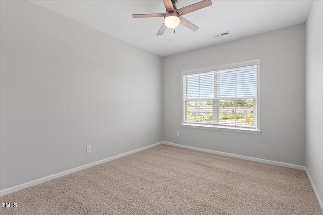 304 White Iris Loop, Cary, NC 27519 - photo 46