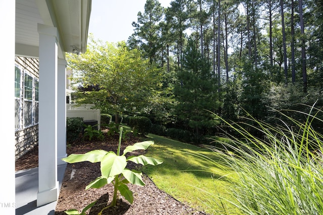 543 Finnbar Dr, Cary, NC 27519 - photo 35