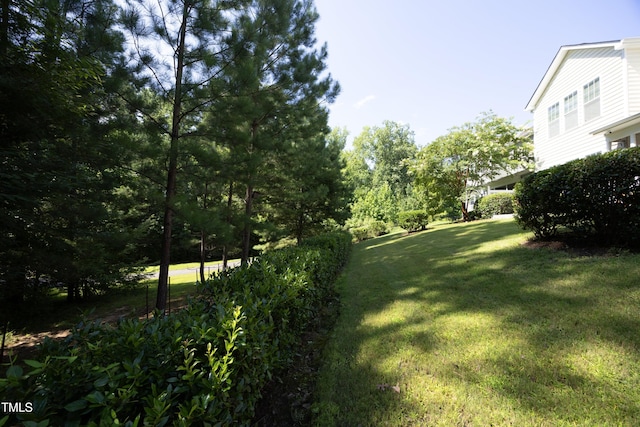 543 Finnbar Dr, Cary, NC 27519 - photo 39