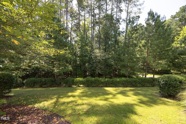 543 Finnbar Dr, Cary, NC 27519 - photo 38