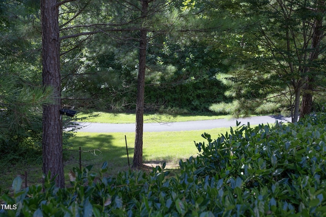 543 Finnbar Dr, Cary, NC 27519 - photo 40