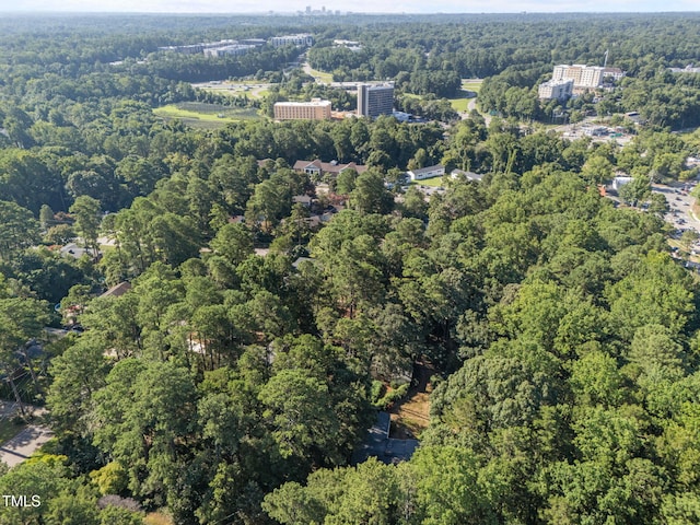 2009 Philcrest Rd, Raleigh, NC 27612 - photo 22