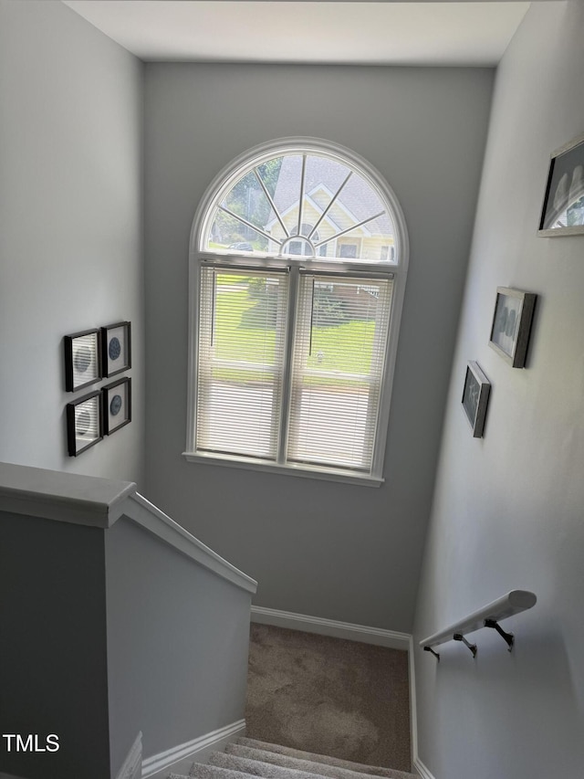 2108 Leadenhall Way, Raleigh, NC 27603 - photo 19