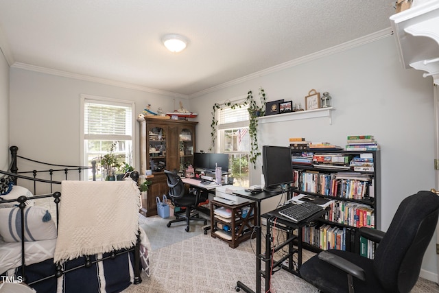 5509 Chilvary Ct, Knightdale, NC 27545 - photo 16