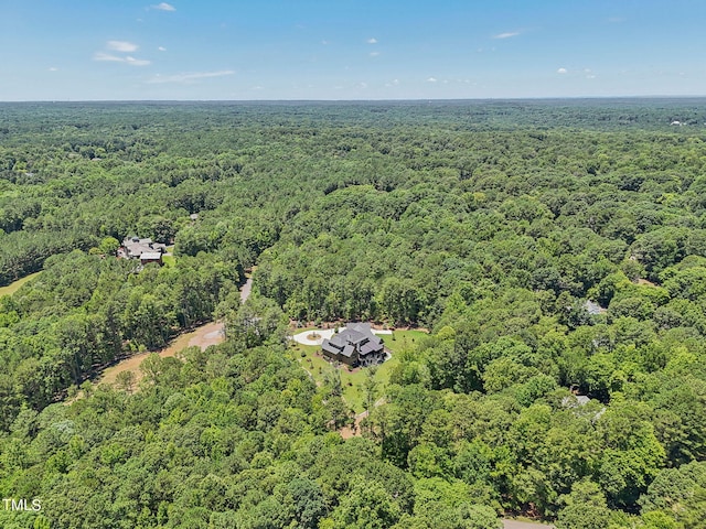 1421 Alpine Creek Dr, Raleigh, NC 27614 - photo 70