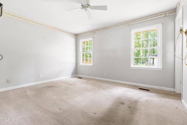 1305 Shady Ln, Durham, NC 27712 - photo 25