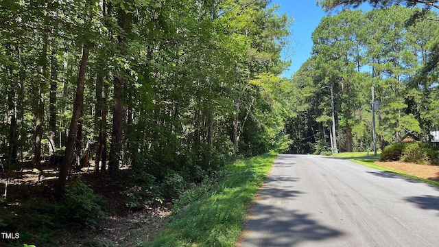 204 Trelawney Ln, Cary, NC 27519 - photo 1