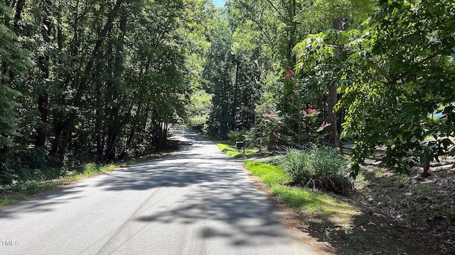 204 Trelawney Ln, Cary, NC 27519 - photo 2