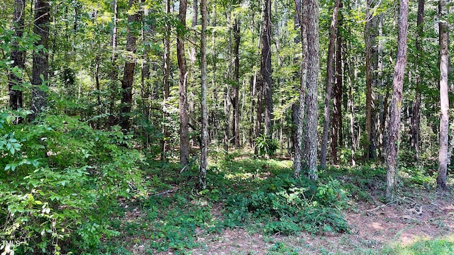 204 Trelawney Ln, Cary, NC 27519 - photo 3