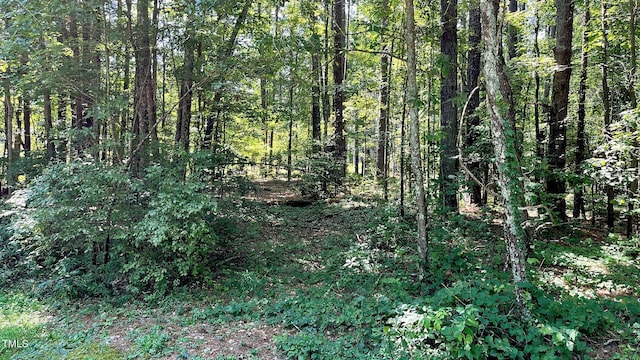 204 Trelawney Ln, Cary, NC 27519 - photo 4