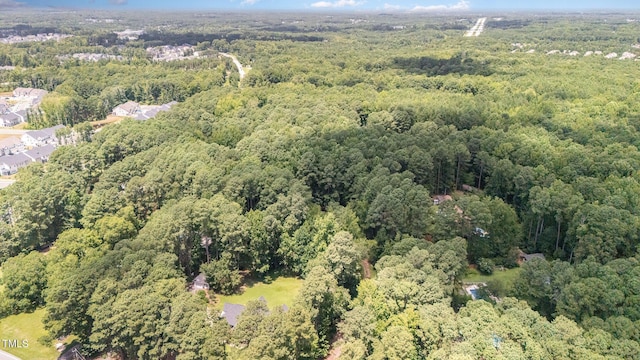 204 Trelawney Ln, Cary, NC 27519 - photo 12
