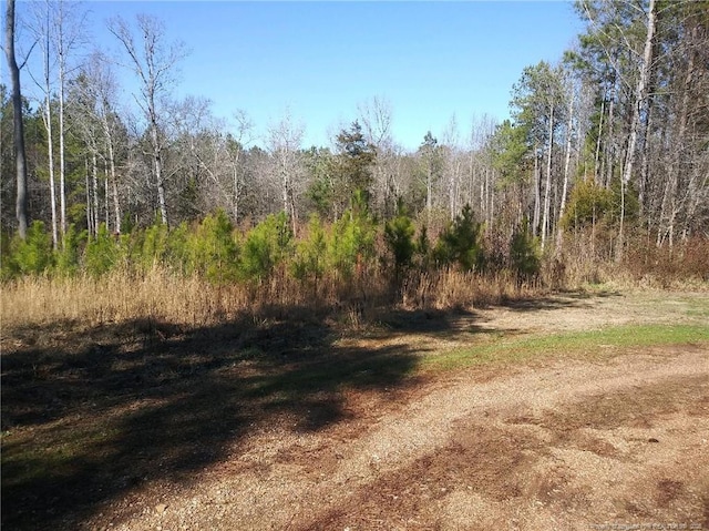 TBD Hemp St, Robbins, NC 27325 - photo 1