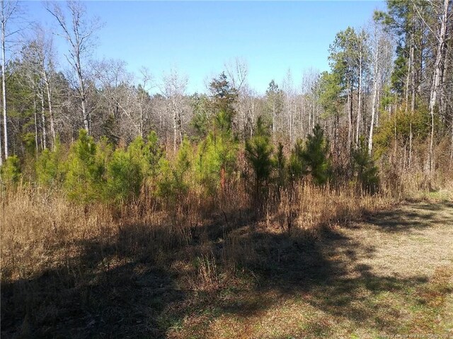 TBD Hemp St, Robbins, NC 27325 - photo 3