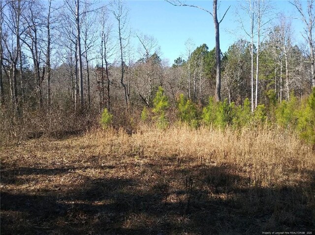 TBD Hemp St, Robbins, NC 27325 - photo 4