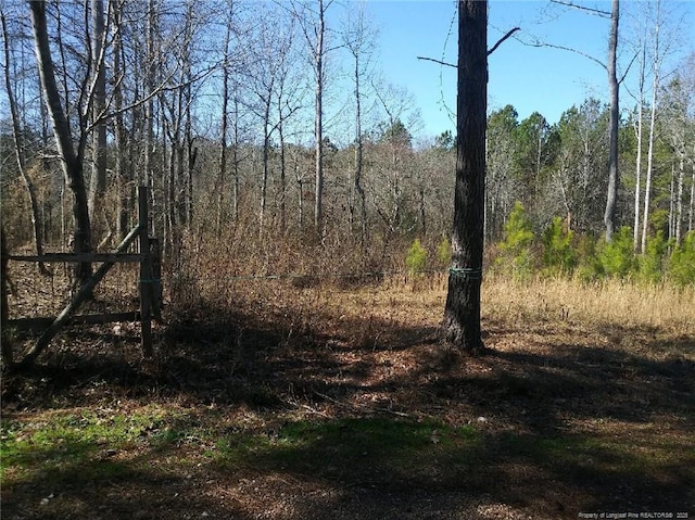 TBD Hemp St, Robbins, NC 27325 - photo 5