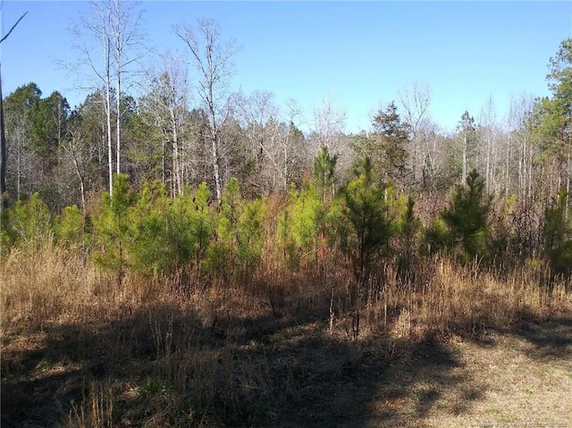 TBD Hemp St, Robbins, NC 27325 - photo 2