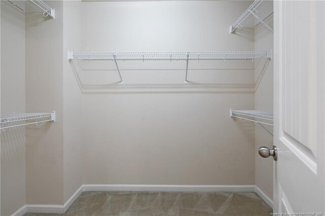 167 Taplow Trl, Cameron, NC 28326 - photo 30