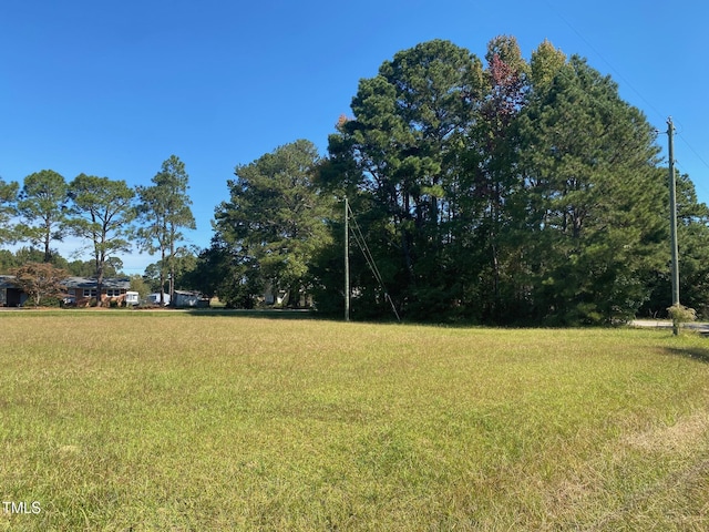 13442 NC-42 Hwy, Kenly, NC 27542 - photo 3