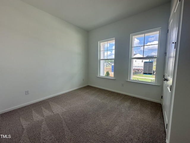 115 S Harvest Ridge Way Unit 319, Wilsons Mills, NC 27520 - photo 3