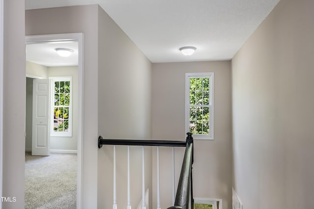 4400 Knightsbridge Way, Raleigh, NC 27604 - photo 13