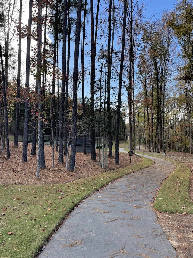 1116 Destination Dr, Apex, NC 27523 - photo 51