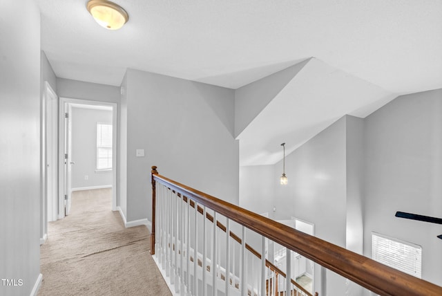 409 Teal Lake Dr, Holly Springs, NC 27540 - photo 24