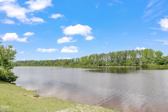 747 Catherine Lake Ct, Fuquay Varina, NC 27526 - photo 51