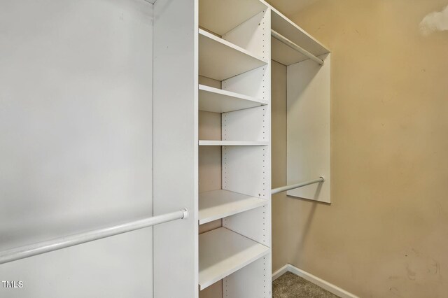 7667 Vaughan Chapel Rd, Elm City, NC 27822 - photo 20