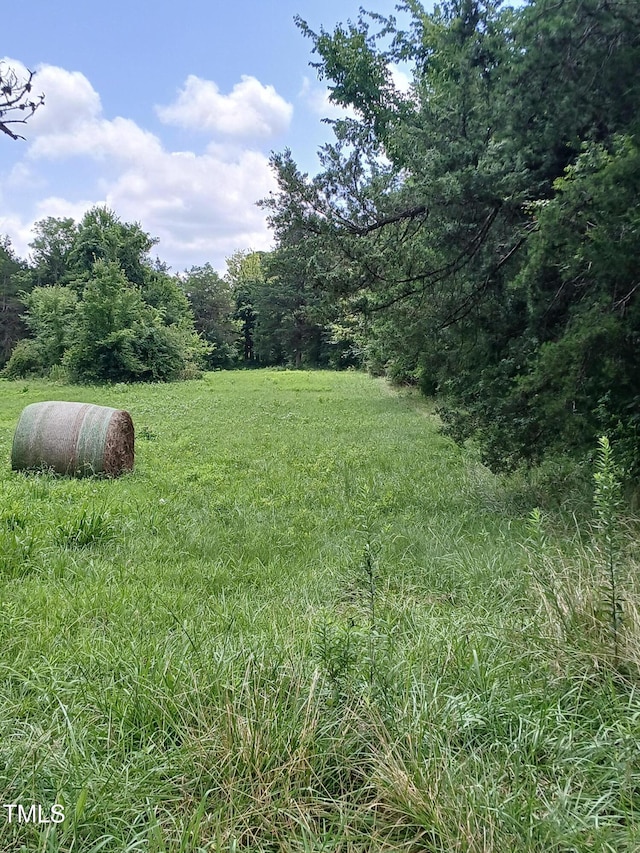 6175 NC Highway 86 S, Yanceyville, NC 27379 - photo 7