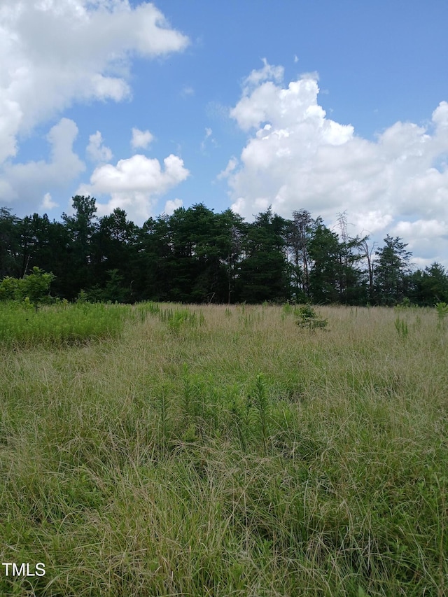 6175 NC Highway 86 S, Yanceyville, NC 27379 - photo 8