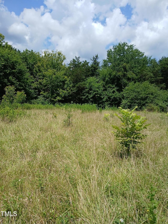 6175 NC Highway 86 S, Yanceyville, NC 27379 - photo 9