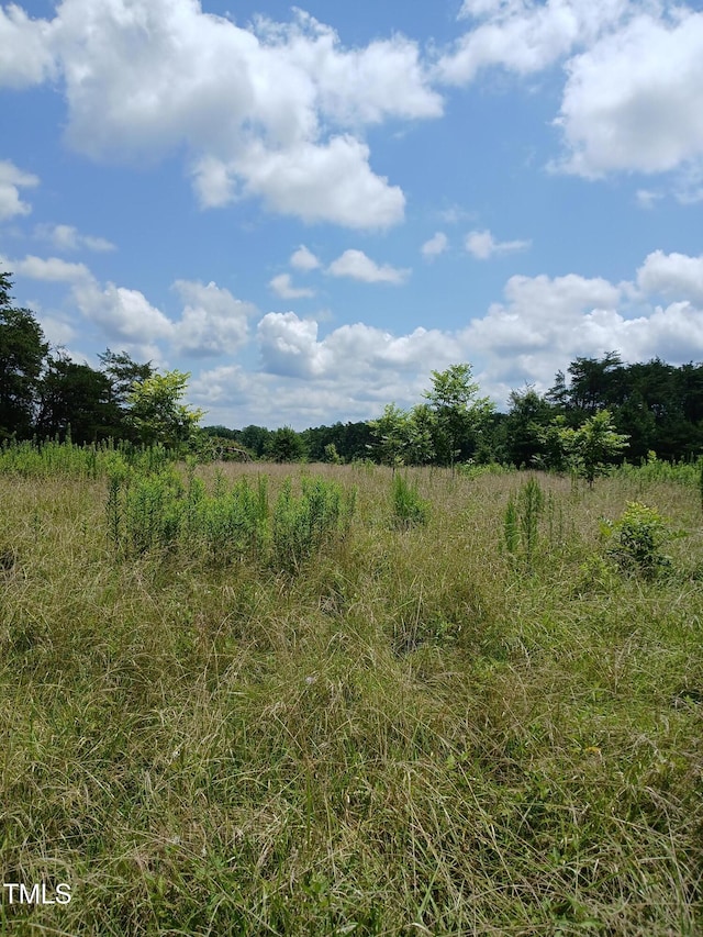 6175 NC Highway 86 S, Yanceyville, NC 27379 - photo 10