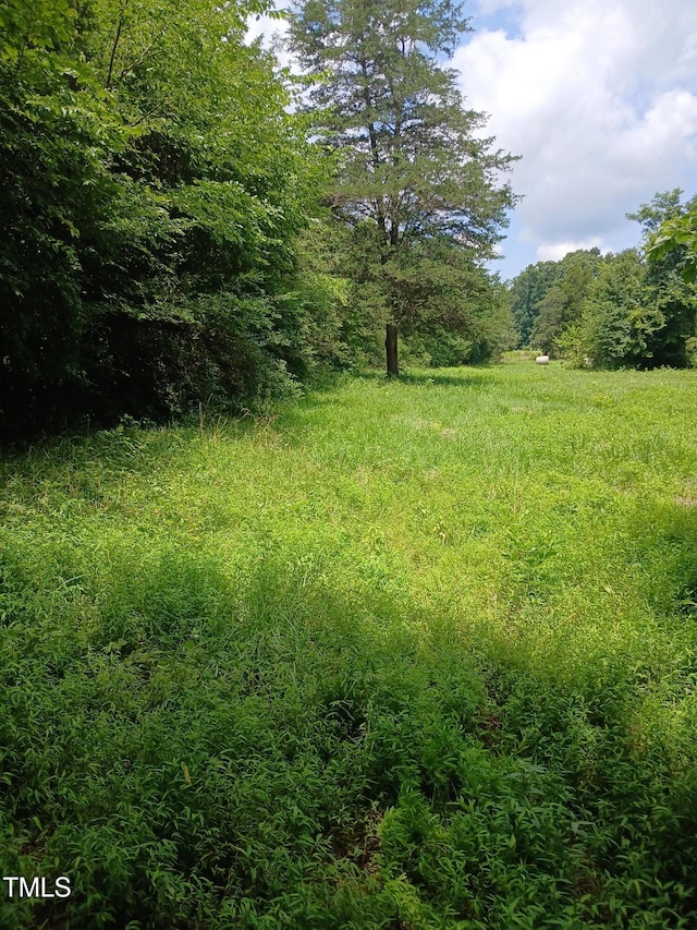 6175 NC Highway 86 S, Yanceyville, NC 27379 - photo 11