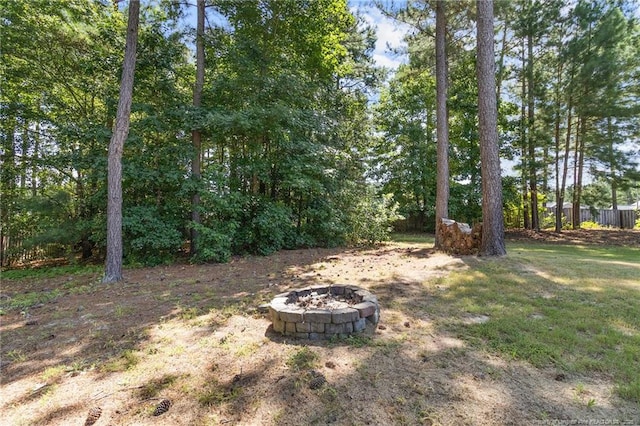 300 Almond Dr, Cameron, NC 28326 - photo 41