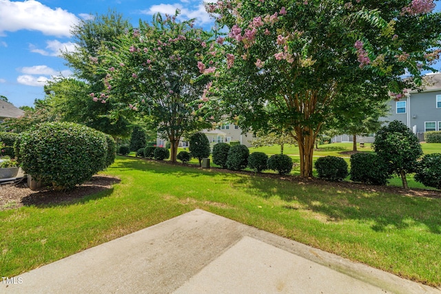 306 Dechlan Ln, Cary, NC 27513 - photo 38