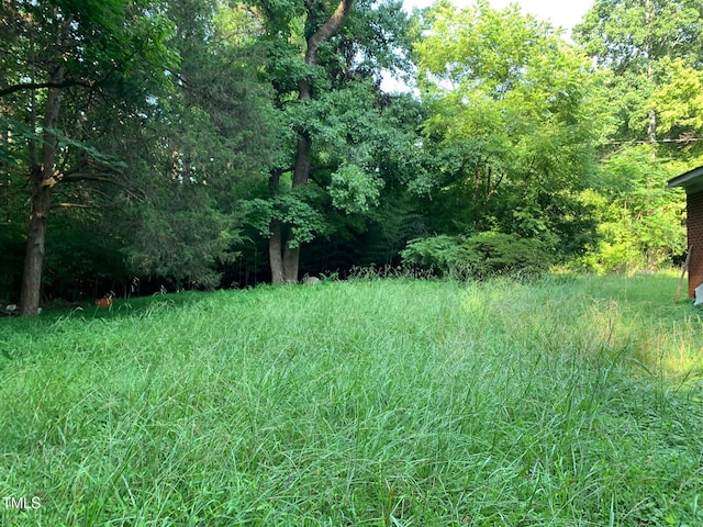4375 Swepsonville Saxapahaw Rd, Graham, NC 27253 - photo 3
