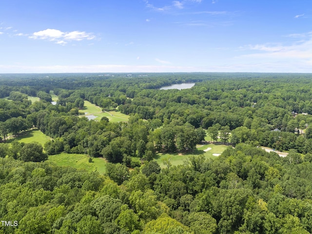 106 Birkhaven Dr, Cary, NC 27518 - photo 85