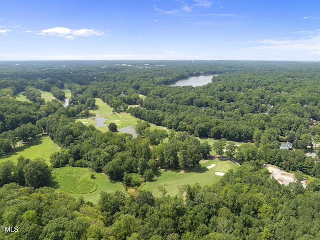 106 Birkhaven Dr, Cary, NC 27518 - photo 86