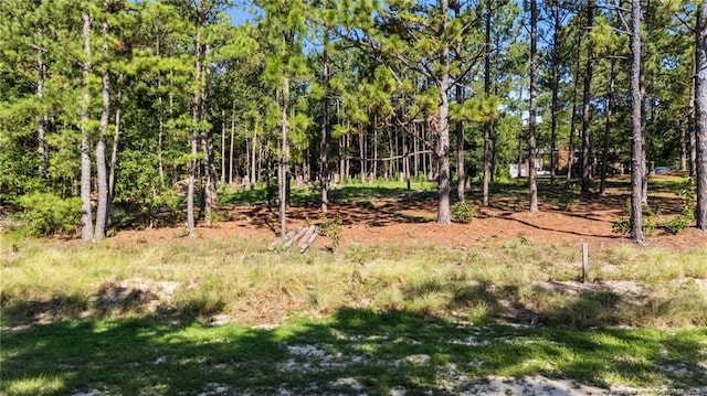 180 Richmond St, West End, NC 27376 - photo 1