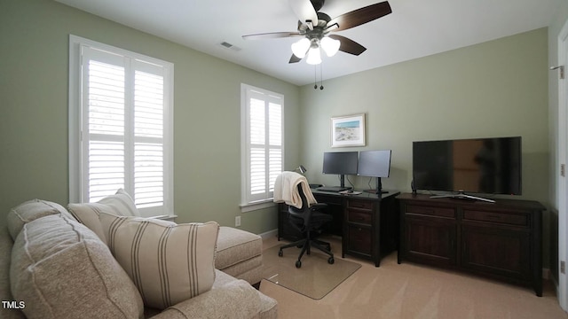 317 Tarragon Trl, Wendell, NC 27591 - photo 31