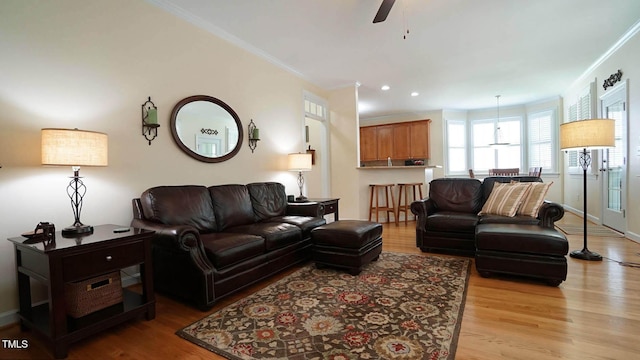 317 Tarragon Trl, Wendell, NC 27591 - photo 25