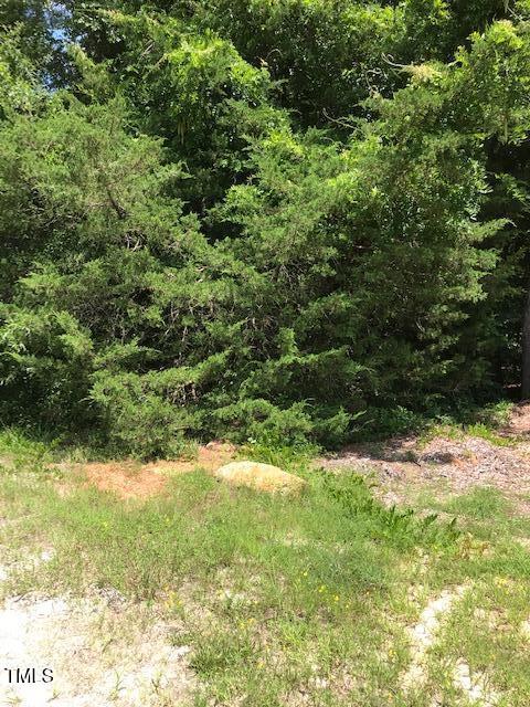 3464 Century Farm Rd, Rolesville, NC 27571 - photo 3