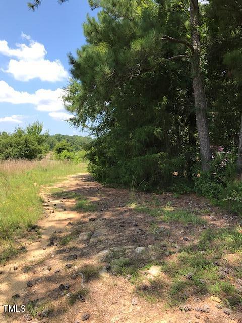 3464 Century Farm Rd, Rolesville, NC 27571 - photo 5