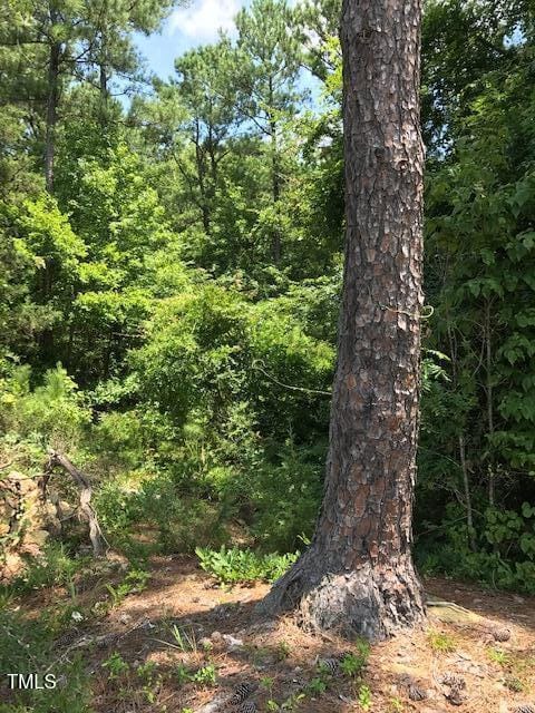 3464 Century Farm Rd, Rolesville, NC 27571 - photo 6