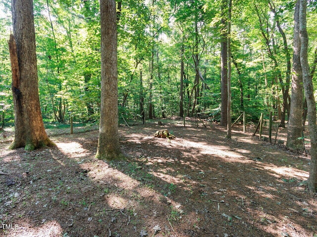 4320 Dairyland Rd, Hillsborough, NC 27278 - photo 38