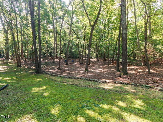 4320 Dairyland Rd, Hillsborough, NC 27278 - photo 35