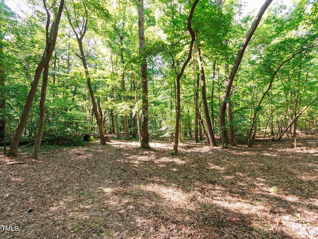 4320 Dairyland Rd, Hillsborough, NC 27278 - photo 37