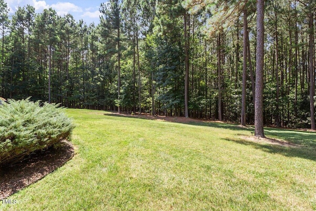 124 Dartmoor Ln, Raleigh, NC 27614 - photo 55