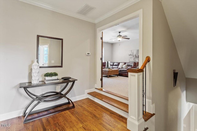 124 Dartmoor Ln, Raleigh, NC 27614 - photo 29