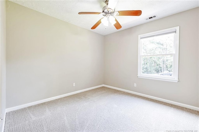 7817 Spurge Dr, Fayetteville, NC 28311 - photo 26